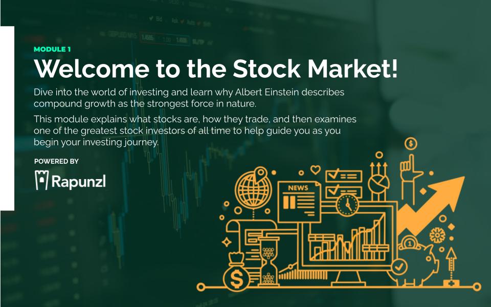 Welcome To The Stock Market module cover