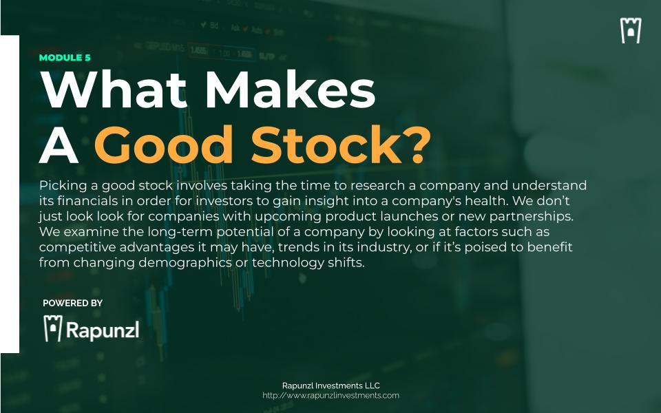 What Makes A Good Stock? module cover